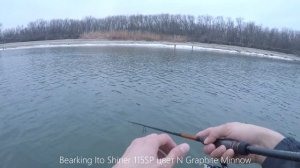 Решил зарядить воблер и начали клевать монстры! Bearking Ito Shiner 115SP король на реке Дон.