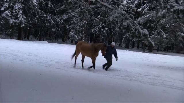 Зимняя сказка смотреть онлайн
