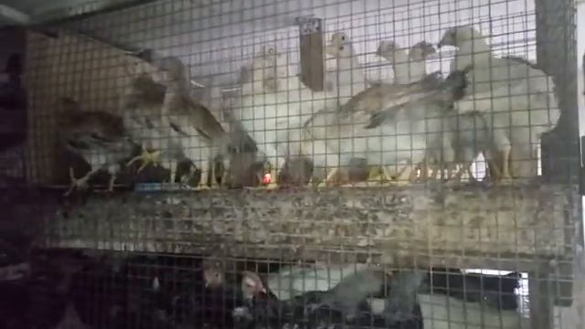 Все нормально мы на месте ！！！ смотреть онлайн