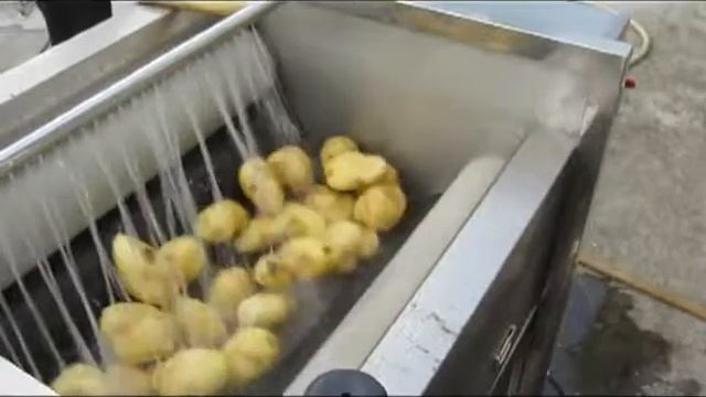 Машина для очистки овощей MSTP 500 смотреть онлайн