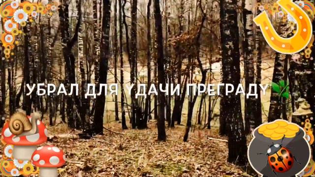 Привет, отличного настроения желаю! Пусть лесной грибок удачу принесёт.... смотреть онлайн