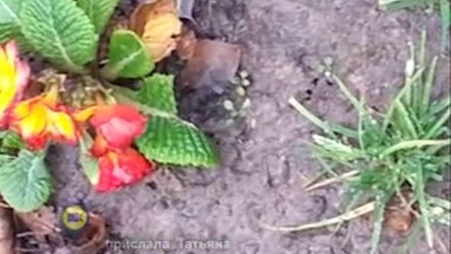 Мобильный репортёр от 26.03.14