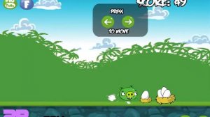 Angry birds want to kill you | Angry Pig Steals Eggs | Zlata Game Time