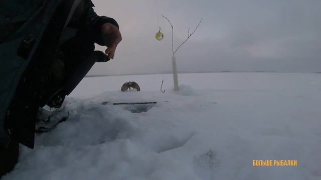 ЛОВЛЮ НАЛИМОВ НА РАЗЛИВАХ | То густо, то пусто