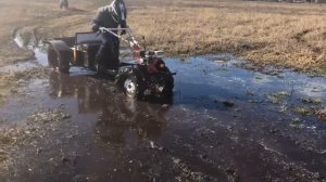 Катаемся по грязи на питбайке и мотоблоке