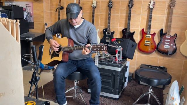 Ibanez AAD50CE смотреть онлайн