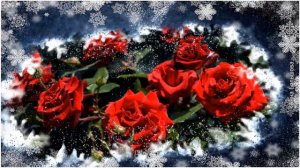 Зимнее поздравление с ДНЕМ РОЖДЕНИЯ ЖЕНЩИНЕ. С днем рождения зимой открытки. Оригинальный подарок