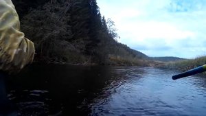 Хариус на тенкару, Пермский край