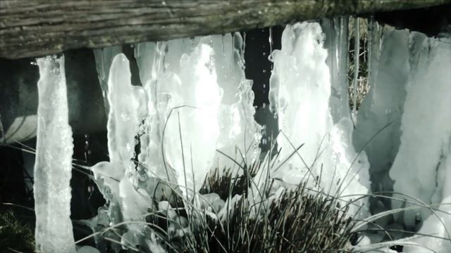 Учись прощать смотреть онлайн