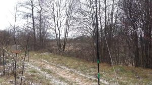 Ловля певчей птицы новой сеткой от Влада Ратникова