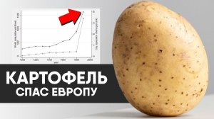 Как картофель изменил историю Земли.