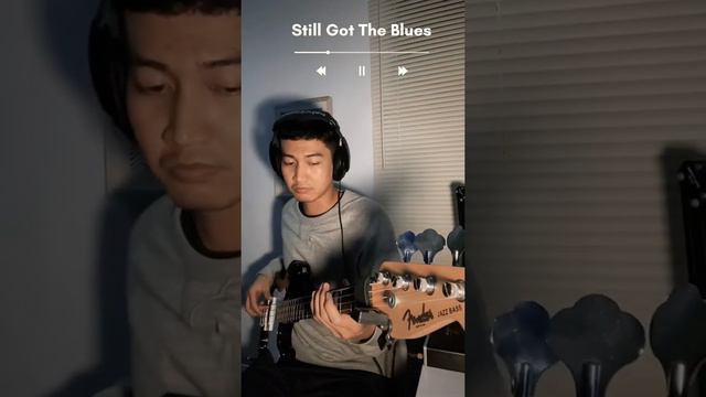 Still got the blues - Gary Moore (Bass Cover)