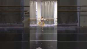 Вариация Полька