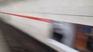 ?Петербургский метрополитен・Все станции снизу・Красная и Синяя линия・⚓Санкт-Петербург