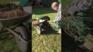 Измельчитель веток Щепорез своими руками  Häcksler Eigenbau