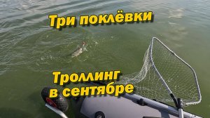Три поклёвки  Троллинг в сентябре