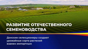 Развитие отечественного семеноводства