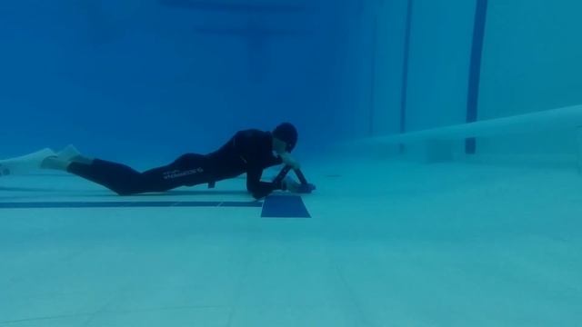 Бассейн Дельфин 4