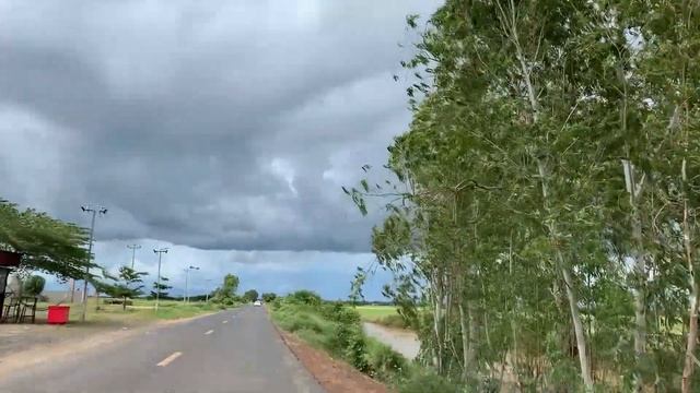 Rice Farm view in countryside | The way i go to hometown | Mengly Vlog