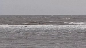 Донецкая область  Мариуполь  Пляж  Холодный ветер  Богомол  Виндсерфинг  Скайсерфинг