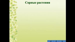 Викторина "Знатоки природы родного края"