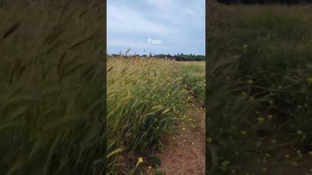 Зачем ехать на ретрит? Ответ в этом видео смотреть онлайн