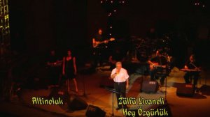 zülfü livaneli konseri