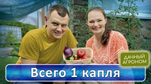 ХВАТИТ! Пора получить урожай, которого вы достойны!