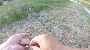 Рабочий воблер bearking и БЛЕСНА LUCKY JOHN CROCO SPOON