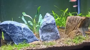 BOYU AQUARIUM