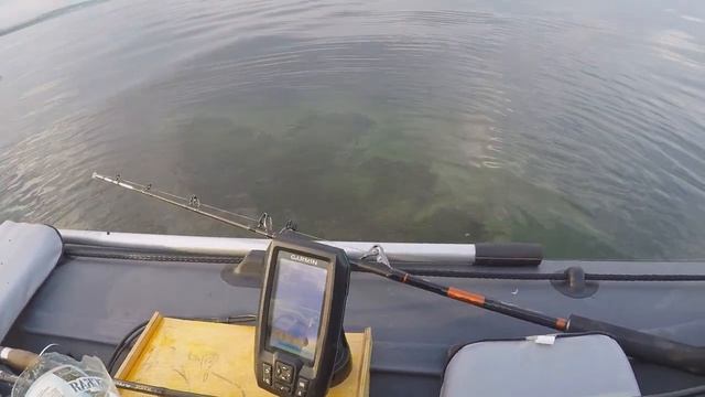 ТРОФЕЙНЫЙ ЖЕРЕХ НА "МАЛАС" А ВЫХОДИЛИ ПОКВОЧИТЬ СОМИКА. смотреть онлайн