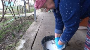 Готовим сад и землю к сезону💪🌿 Рассадили гранаты🥦 Кошечки в гостинице  😼 Жизнь в станице на Куба
