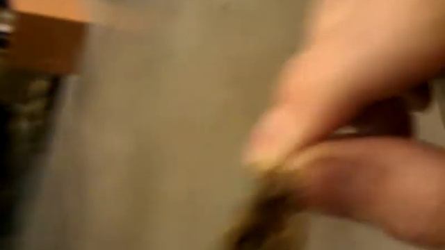 Медведка смотреть онлайн