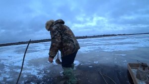 РЫБАЛКА. НАЛИМ НА ПЕРВОМ ЛЬДУ. ТАК ЛОВЯТ НАЛИМА/ПОСЕЛЕНЦА НА СЕВЕРЕ!#рыбалка#налим#fishing#burbot
