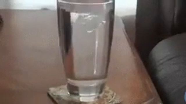 КАКАЯ УМНАЯ СОБАКА! ЛУЧШИЙ ПОМОШНИК ЛЮДЕЙ!!!