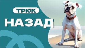 Учим команду НАЗАД с собакой