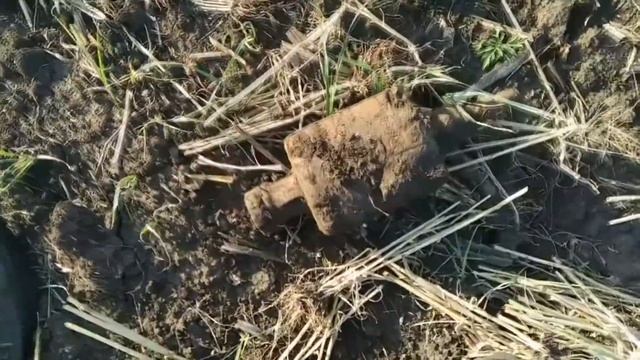 Нашел часы на поле смотреть онлайн