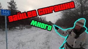 ОХОТА НА ЗАЙЦА ЗИМОЙ
