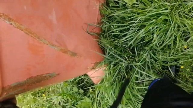 Школьник разберает (красный запорожец) заз 968м. Купил новыю камеру gopro 3. смотреть онлайн