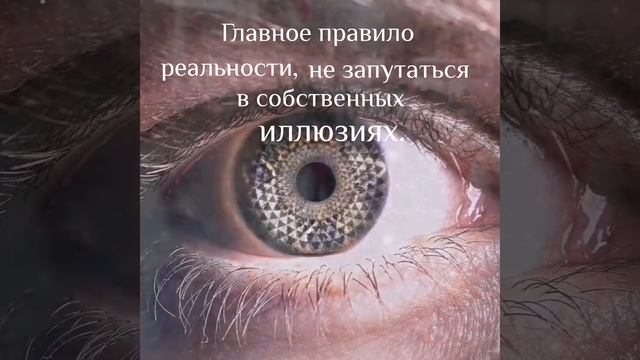 Иллюзии.