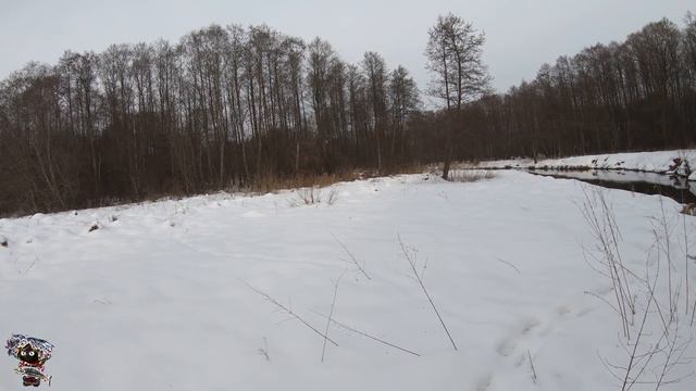 Форель зимой. Прогулка по зимней реке