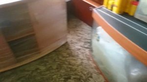 Тумба под аквариум 500 литров, готова!