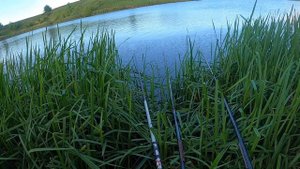 Ловля карася на манку болтушку