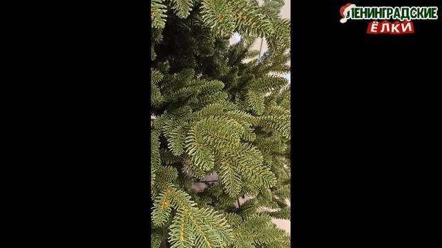 Ель "Монтерей" Люкс Видео сборка елки 210 см