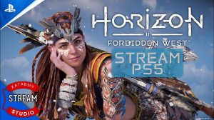 STREAM | Horizon Forbidden West