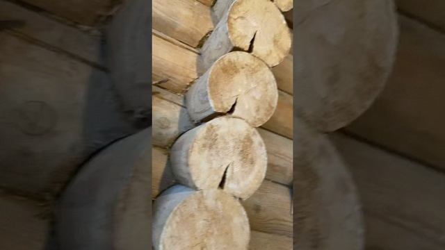 Маленький глазастик, пугает большого ??