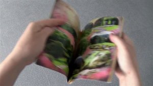 Альбом на скрепке