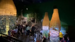 Океанариум в Санкт-Петербурге. Oceanarium in Saint-Petersburg?
