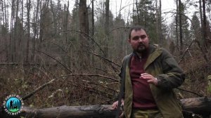 Охота на белку, установка капканов на бобра