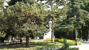 Парк пансионата Семидворье - Крым - Алушта 2010